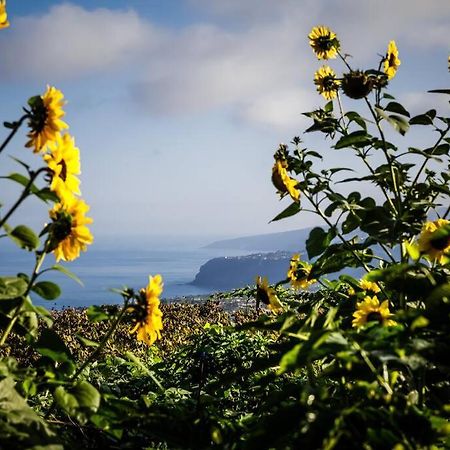 Finca Maranuela La Perdoma Bagian luar foto