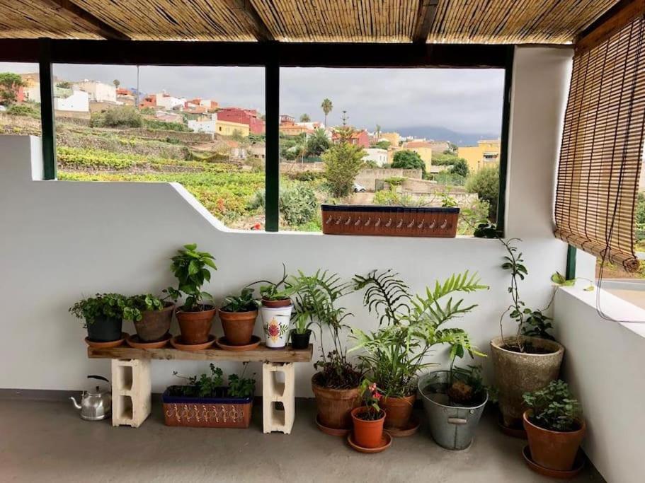 Finca Maranuela La Perdoma Bagian luar foto