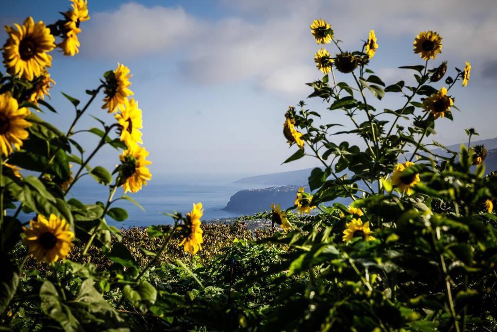 Finca Maranuela La Perdoma Bagian luar foto
